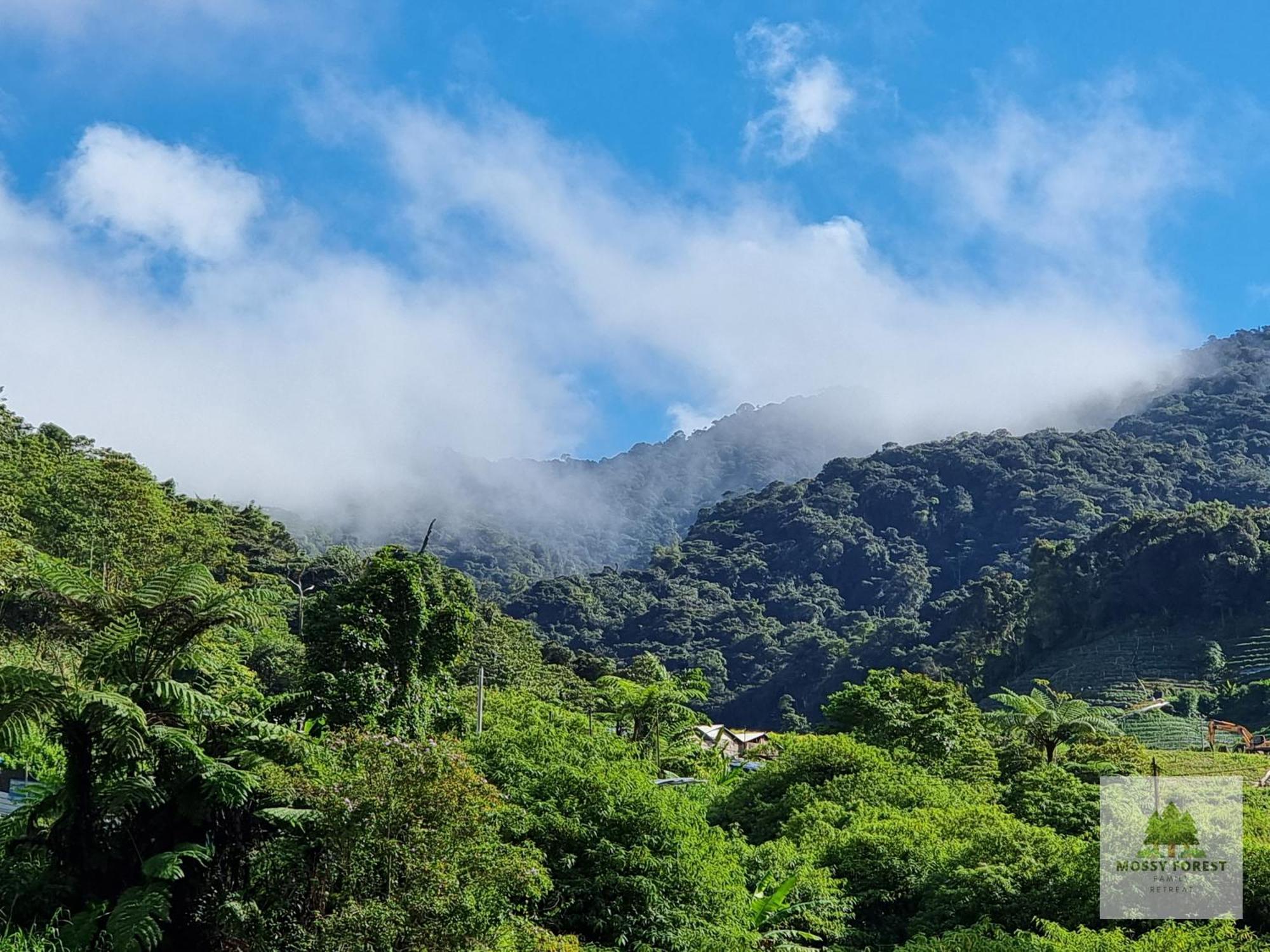 Mossy Forest Family Retreat Ii, 2-8 Pax, Cameron Highlands Exteriör bild