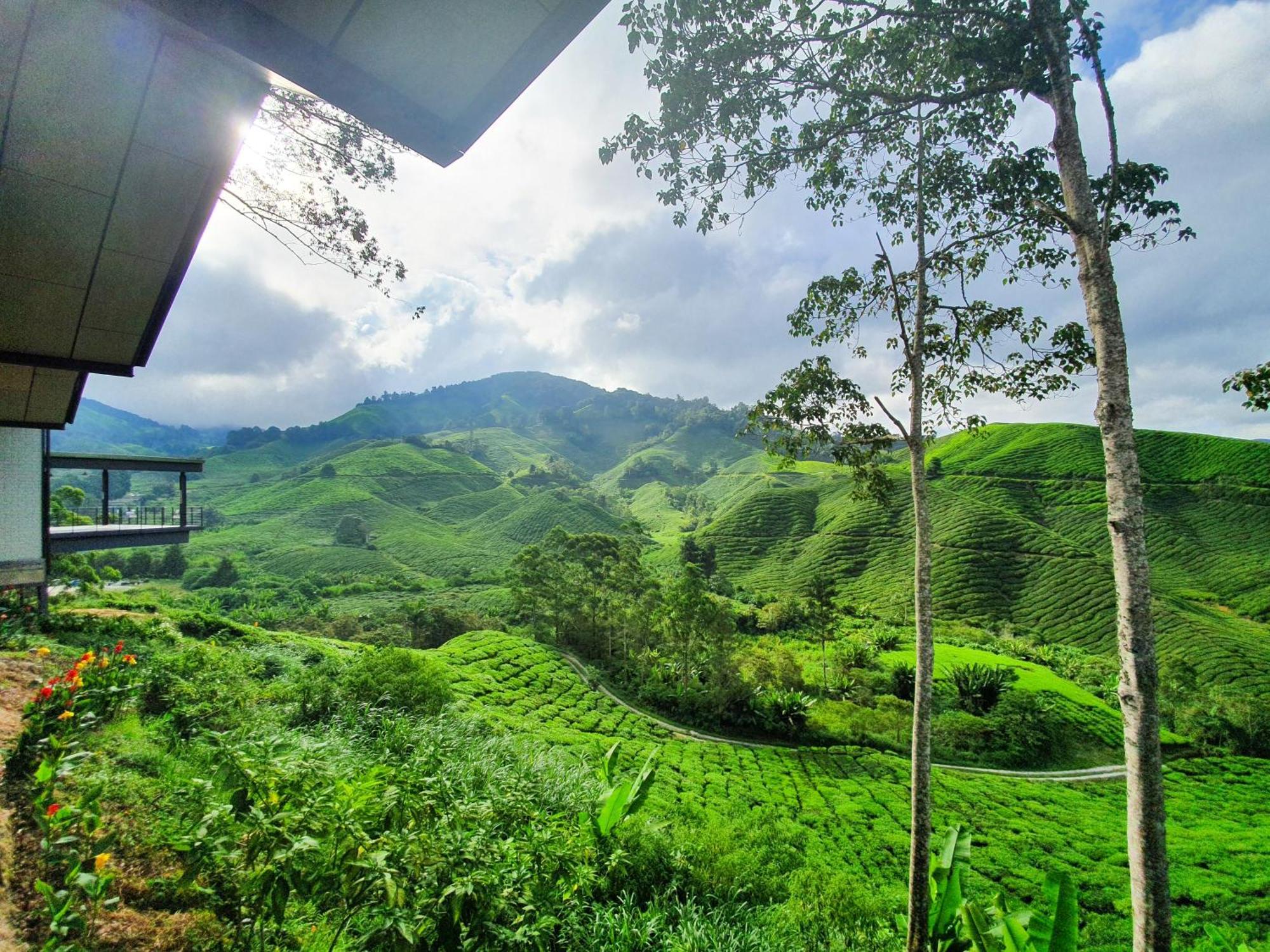 Mossy Forest Family Retreat Ii, 2-8 Pax, Cameron Highlands Exteriör bild